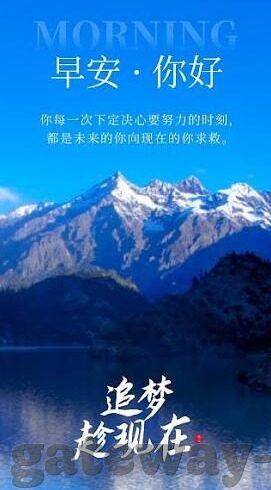 俄罗斯世界杯美女太太-俄罗斯世界杯，美女太太团闪耀绿茵场